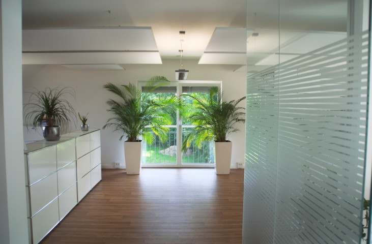 1_hall_1.jpg